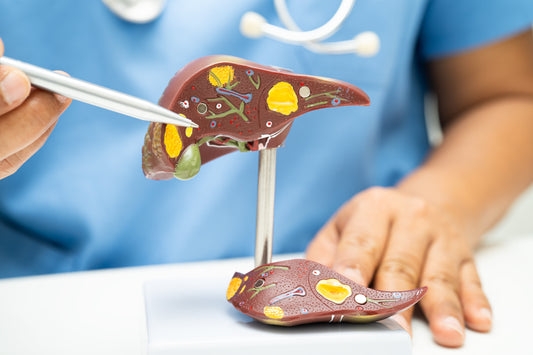 Saving Lives: South Korea’s Global Leadership in Liver Transplantation