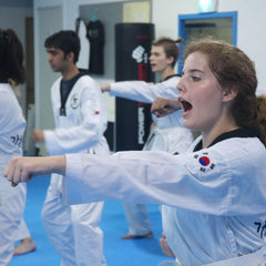 Taekwondo Cultural Experience