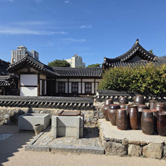 Namsangol Hanok Village Tour