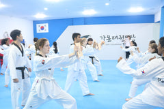 Taekwondo Cultural Experience