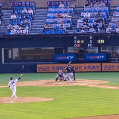 Baseball Game Experience at Jamsil Stadium